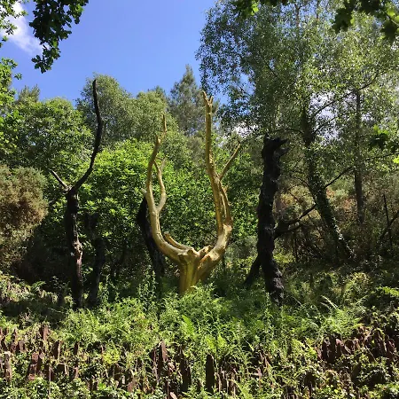 L'hôtié De Brocéliande Paimpont
