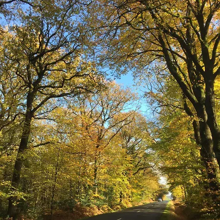 L'hôtié De Brocéliande * Paimpont