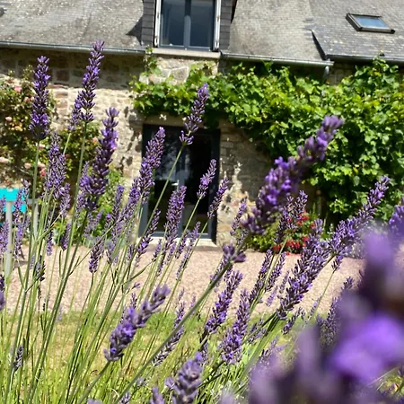 L'hôtié De Brocéliande Paimpont